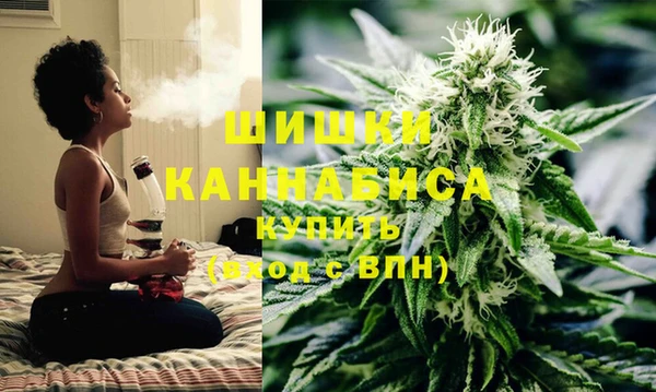PSILOCYBIN Михайлов
