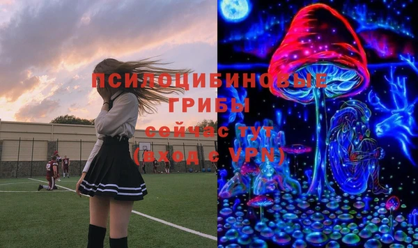 PSILOCYBIN Михайлов
