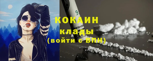 гашик Михайловка