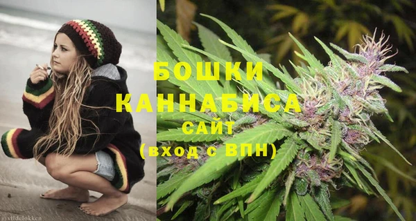 PSILOCYBIN Михайлов