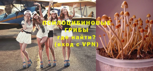 гашик Михайловка