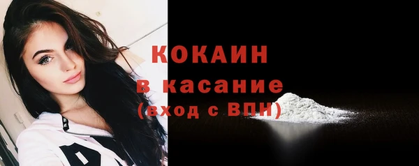 PSILOCYBIN Михайлов