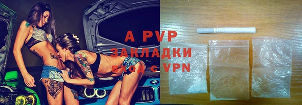 PSILOCYBIN Михайлов