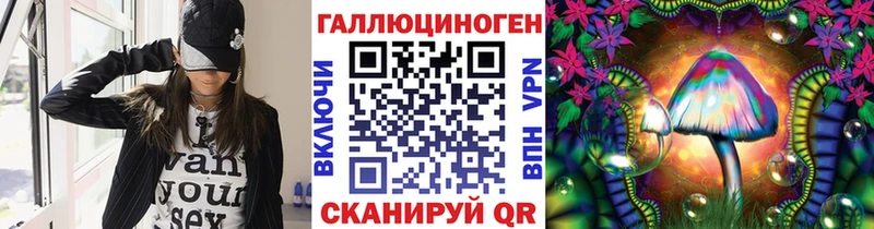 Псилоцибиновые грибы Psilocybine cubensis  цена   Чернушка 