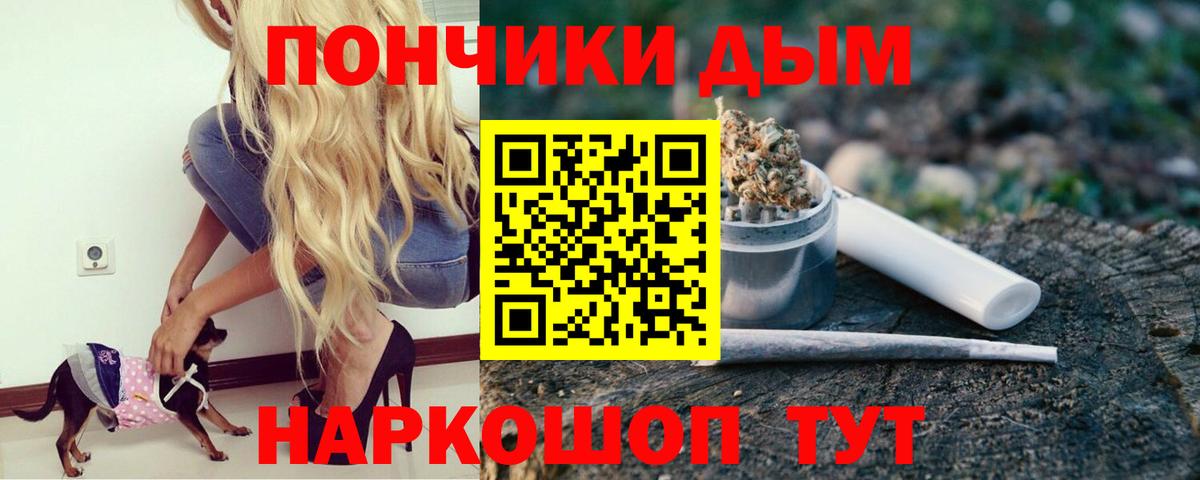 Каннабис Ganja  Шишки марихуана AK-47  Чернушка  Конопля тримм  Конопля конопля 